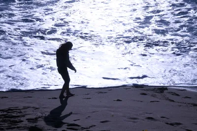 DSC_0426 (Large).JPG